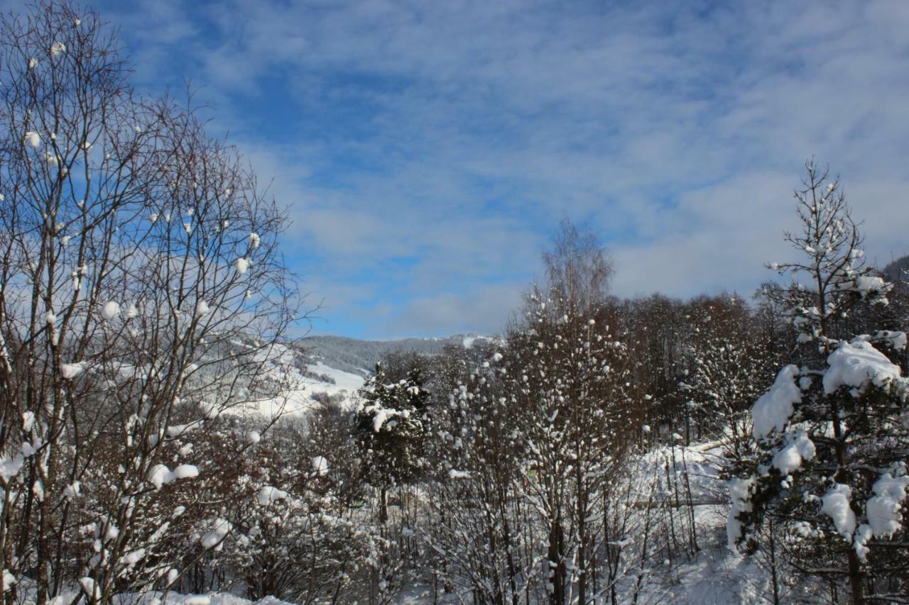 Appartement Schoenfeld Saalbach-Hinterglemm Bagian luar foto